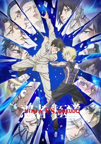 Ninja vs Gokudo